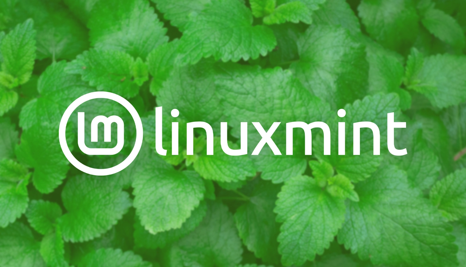 Linux Mint Introduces Native ‘Night Light’ Feature in Cinnamon for Enhanced User Comfort