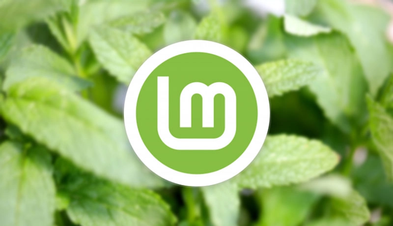 Exciting Update: Linux Mint 22.3 Introduces a New System Hardware Tool!