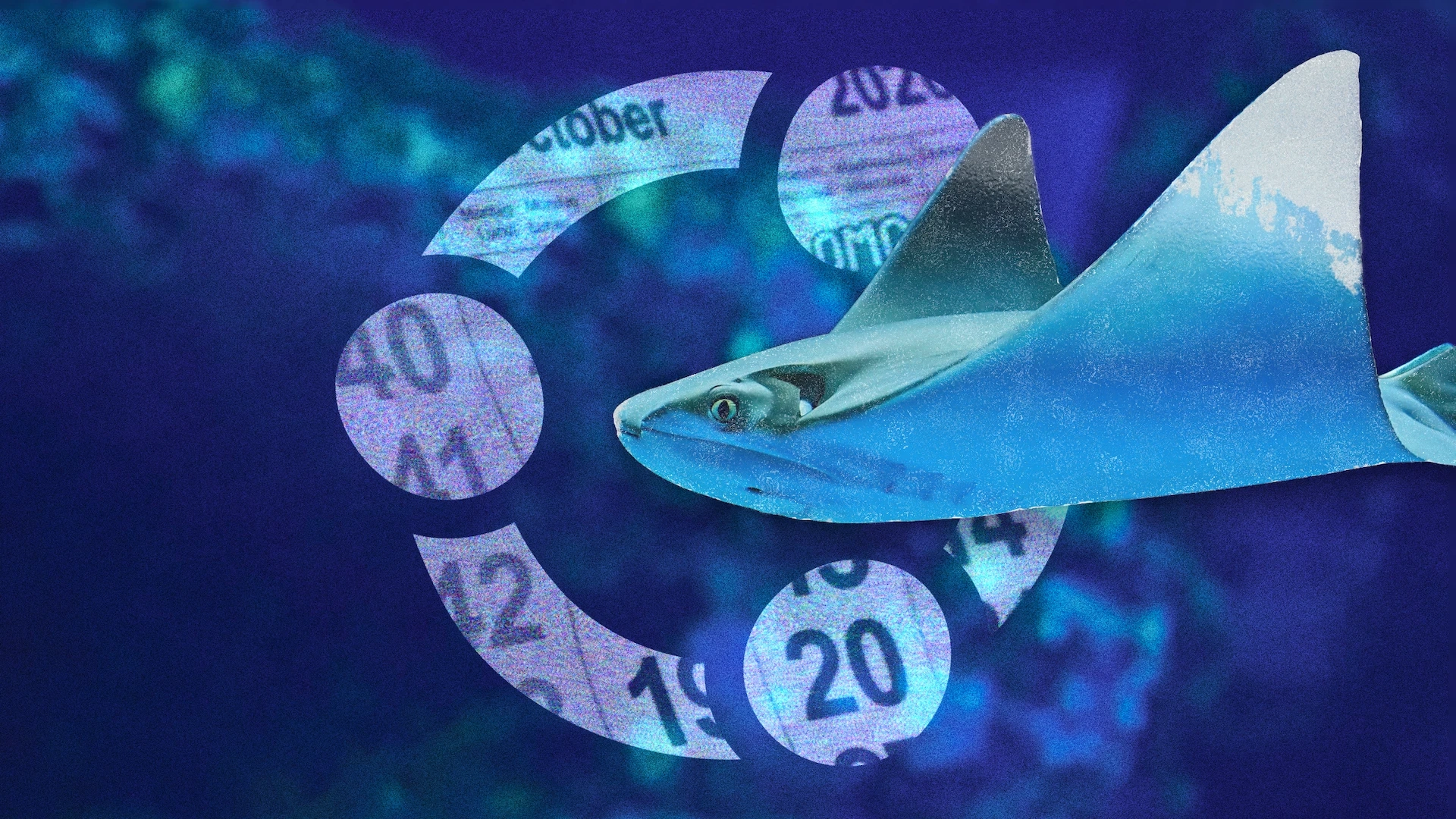 Ubuntu 26.10 “Stonking Stingray”: Release Date and Schedule Unveiled