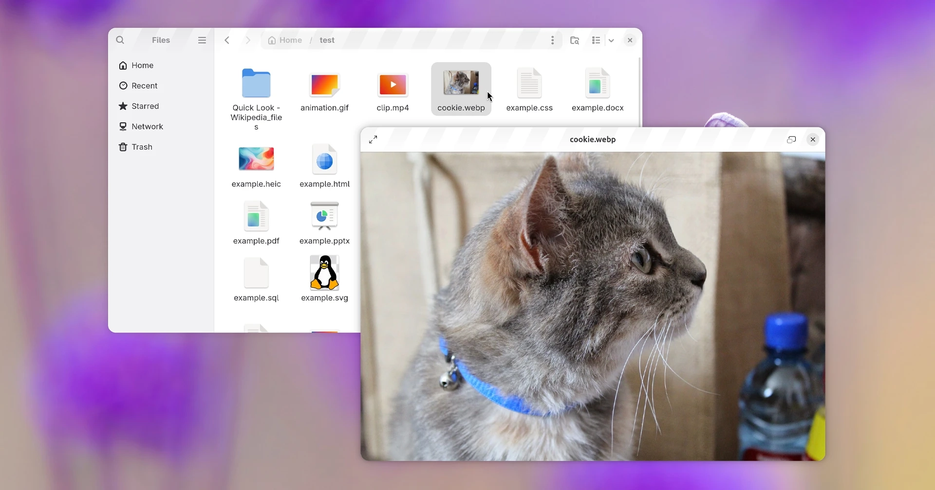 GNOME Sushi Receives a GTK4 Overhaul: Explore the Exciting New Features!
